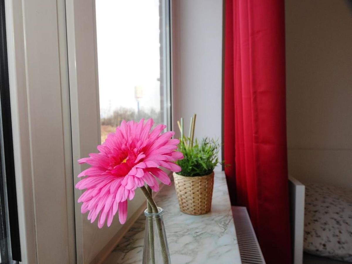 Schlafgelegenheit Apartment Gelsenkirchen Ngoại thất bức ảnh